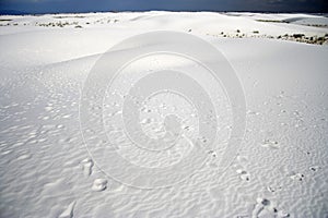 Desert Footprints