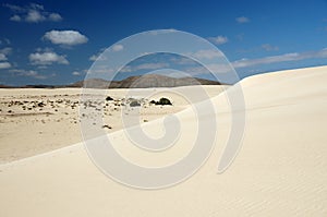 Desert of Fuerteventura in area Corallejo