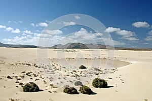 Desert of Fuerteventura in area Corallejo