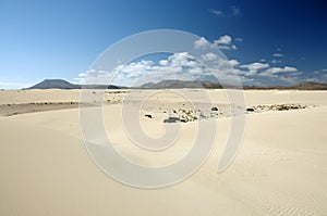 Desert of Fuerteventura in area Corallejo