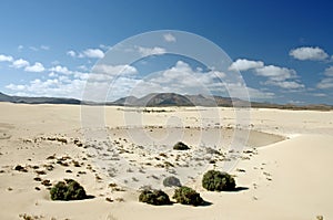 Desert of Fuerteventura in area Corallejo, Spain