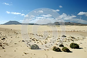 Desert of Fuerteventura in area Corallejo, Spain