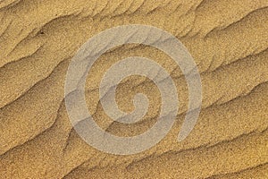 desert in Gran Canaria.