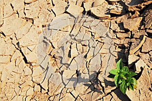 Desert of Grand Canyon of Siam with Mekong river is name Sam Phan Bok Three thousand holes at Ubon Ratchathani Thailand