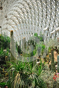 Desert Greenhouse Chenshan Botanical Garden