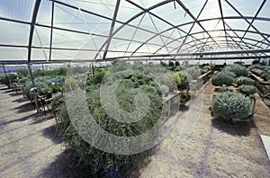 Desert greenhouse experiment at the University of Arizona Environmental Research Laboratory in Tucson, AZ