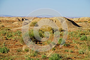 Desert ground whells