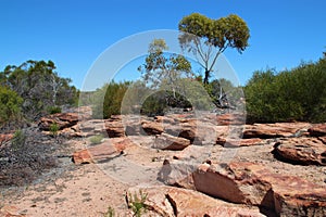 desert at hawks head - kalbarri - western australia