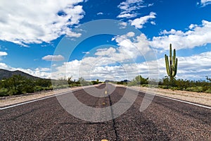 Desert highway into horizon. Cactus, blue sky, clouds.