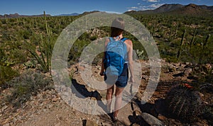 Desert hike with cacti and mountains