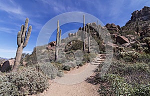 Desert Hiking Trail Rising Up In Scottsdale Arizona