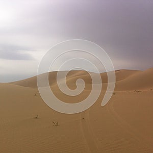 Desert in Inner Mongolia