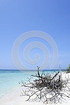 Desert island beach driftwood blue sky philippines