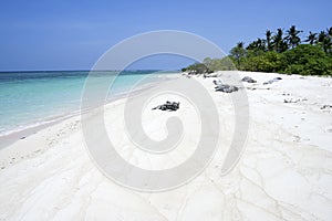 Desert island beach white sand philippines