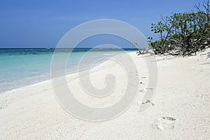 Desert island footprints beach background