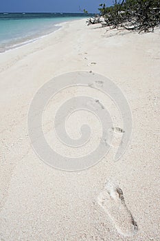 Desert island footprints on white sand beach