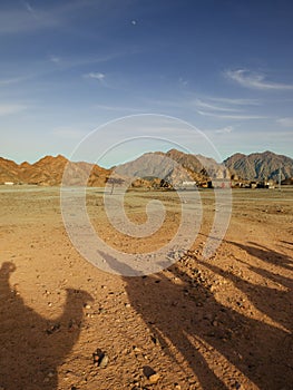 Desert journey on the dromedaries