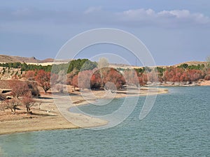 A desert lake surrounded by the brightly dressed trees photo