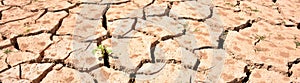 Cracked ground due to lack of water photo
