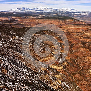 Desert Landscape