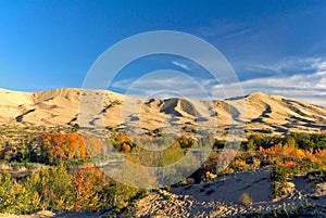 Desert Landscape photo