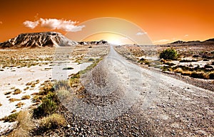 Desert landscape img