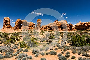 Desert Landscape