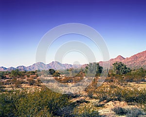 Desert Landscape