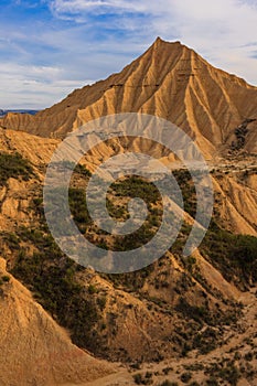 Desert landscape