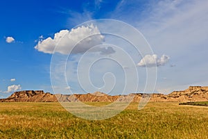 Desert landscape