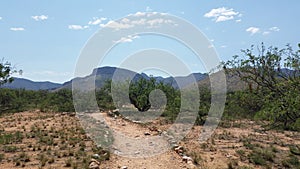 Desert landscape