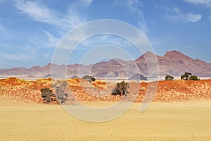 Desert landscape of NamibRand Nature Reserve, Namib, Namibia, Africa