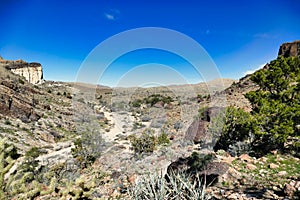 Desert landscape along the Barber Peak Trail, Mojave Desert, California