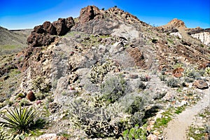 Desert landscape along the Barber Peak Trail in the Providence Mountains, Mojave, California