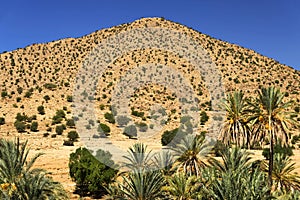 Desert landscape in Antiatlas Mountains
