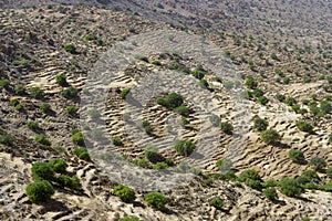 Desert landscape in Antiatlas Mountains