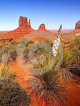 Desert Landscape in Arizona, Monument Valley