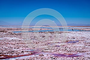 desert landscape of the Atacama salt flat, Chile