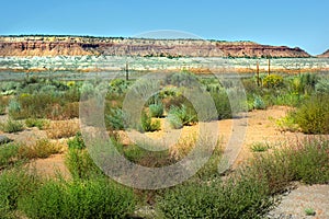 Desert Landscape Tumbleweeds Indian Reservation photo