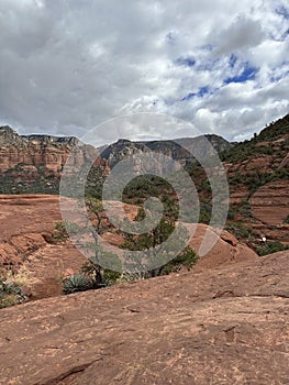 desert landscape in beautiful Sedona, Arizona