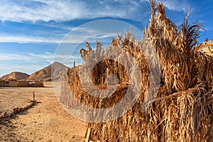 Desert landscape of Bedouin village in Marsa Alam area, Egypt