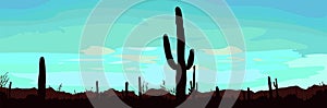 Desert landscape with cactus.