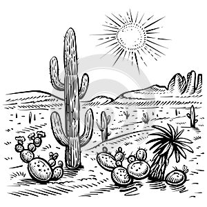 Desert landscape and cactus, vector illustration. Line sketch.