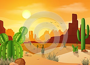 Desert landscape with cactuses on the sunset background