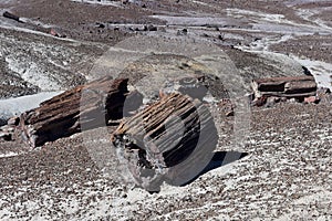 Desert Landscape with Chunks of Petrified Logs