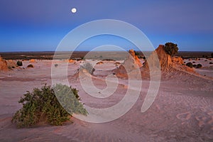 Desert landscape at dawn