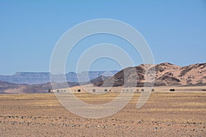Desert landscape with a distant hill in the distance and dry sand in the foreground