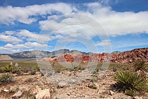 Desert landscape with distant mountains and green vegetation. Red Rock Canyon, Nevada, USA
