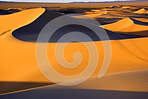 Desert landscape, Gobi desert, Mongolia