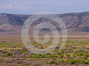 Desert landscape highway Route 66